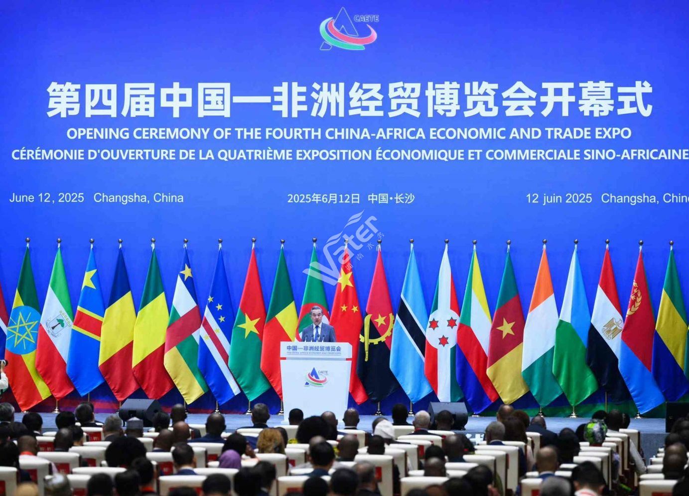 第四屆中國-非洲經(jīng)貿(mào)博覽會在長沙舉行